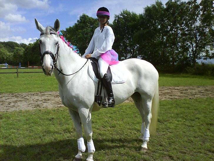 Dansk Varmblod Klostergaardens Medusa - mere rideopvisning :)  billede 5