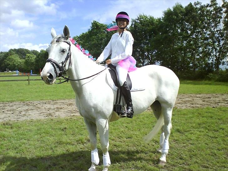 Dansk Varmblod Klostergaardens Medusa - Mor og Medusa til rideopvisning :D fine er i :) billede 6