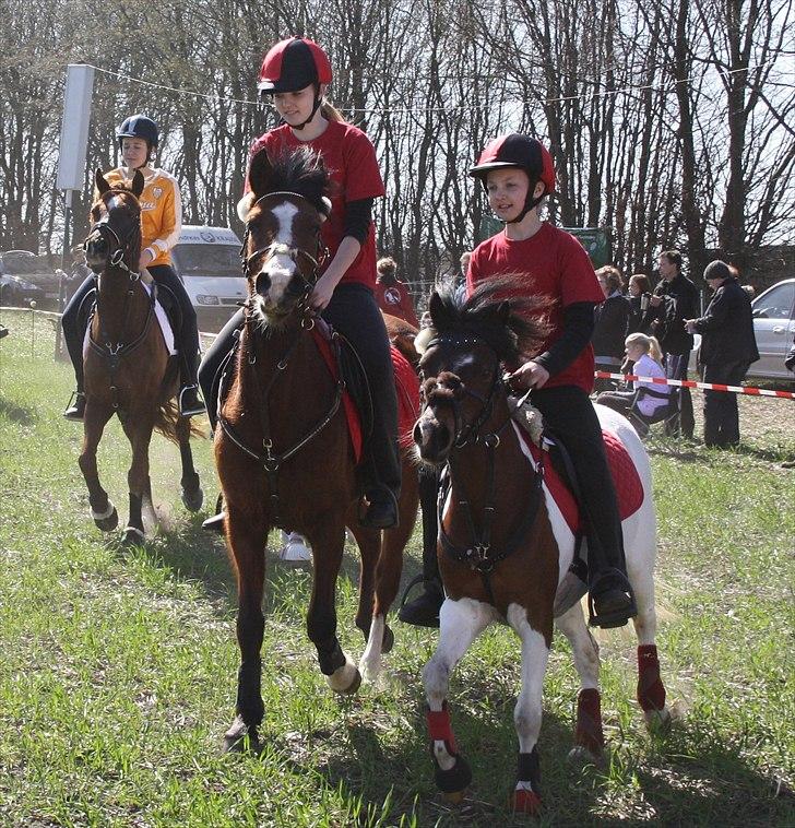 Anden særlig race Revy billede 2