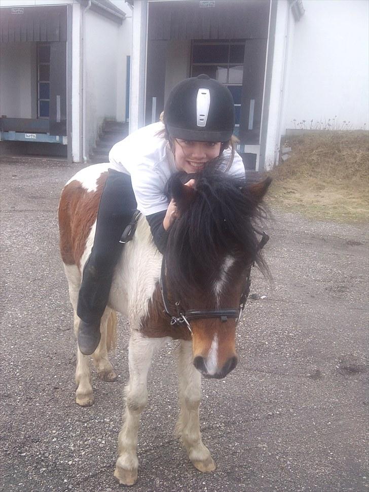 Anden særlig race Revy - <3 billede 7