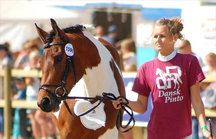 Pinto Zikira. "mors" billede 5