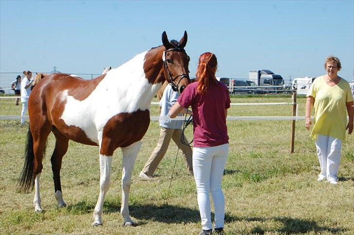 Pinto Zikira. "mors" billede 6