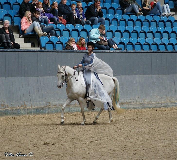 Anden særlig race Baunty - Fra Equidancers show på Vilhelmsborg: 'Riders of the Mist'. billede 9