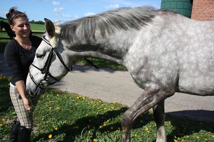Anden særlig race Ørum´s Ayrton billede 12