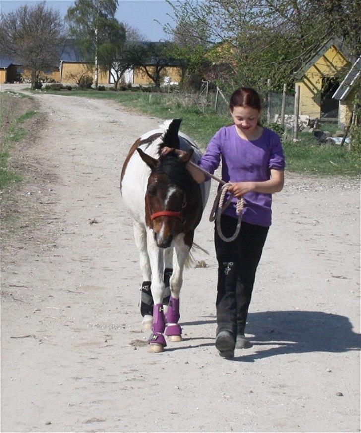 Anden særlig race Revy billede 1