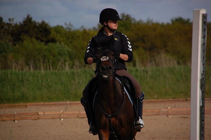 Anden særlig race Angelique SOLGT - Hahah ;* billede 2