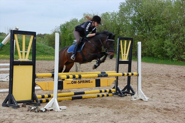 Anden særlig race Angelique SOLGT billede 3