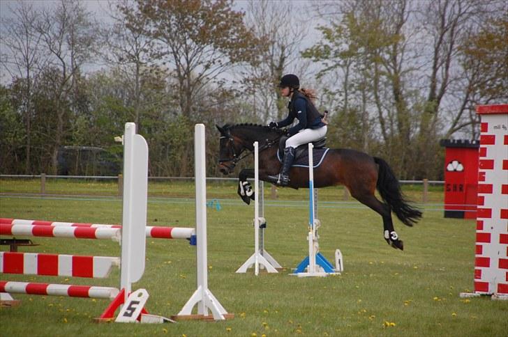 Anden særlig race Angelique SOLGT - LA :) Ja jeg sidder pænt xD billede 4