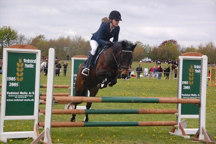 Anden særlig race Angelique SOLGT - La i hygum (: billede 5