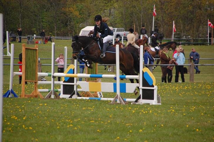 Anden særlig race Angelique SOLGT - La i hygum (: billede 6