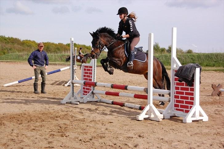 Anden særlig race Angelique SOLGT - at overspringe ;) billede 8