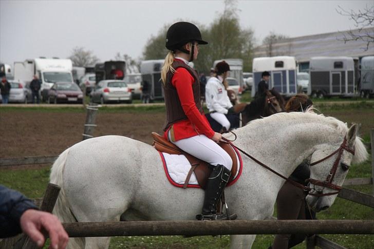 Anden særlig race BOBBY - Bobby og jeg - Løgstrup 2010. (GD Foto) billede 5