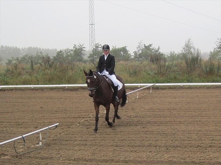 Anden særlig race Manu Af Øster haugård - Han er bare MIN BAMSE<3 billede 12