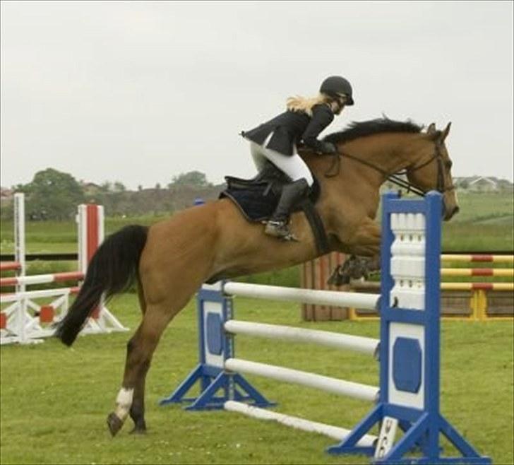 Anden særlig race Bakkegårdens Loyal billede 6