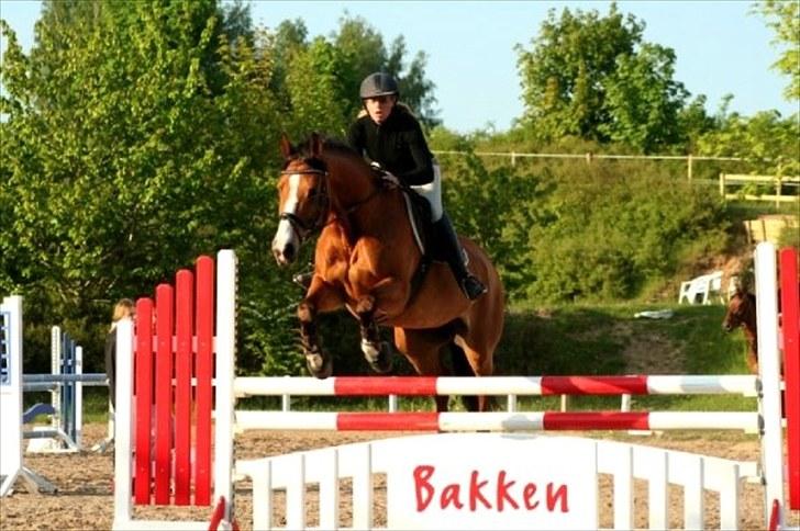 Anden særlig race Bakkegårdens Loyal billede 7