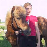 Islænder Fáni fra Lillelund