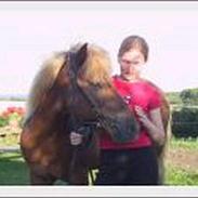 Islænder Fáni fra Lillelund