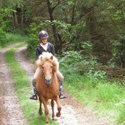 Islænder Björk fra Krogen (død)