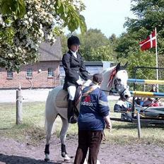 Shagya Araber (SH) Mistral (Mulle) <3 afgået ved døden :'(