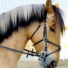 Anden særlig race Bianca  SOLGT ;)