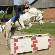 Connemara Barholts Madonna