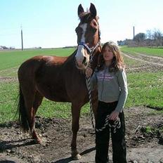 Oldenborg Freja - 1982 til 2013 R.I.P