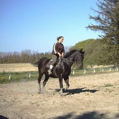 Oldenborg Tessa Birkelund