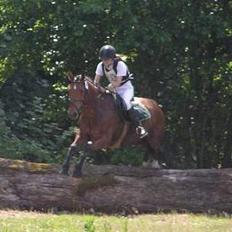 Anden særlig race Atilla-San *RIP*