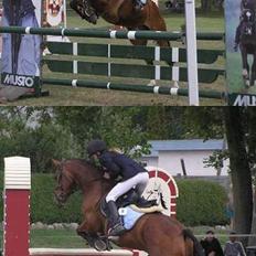 Anden særlig race Atilla-San *RIP*