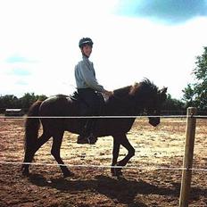 Islænder Hetja fra Lisbjerg