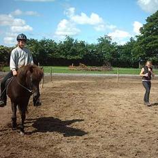 Islænder Hetja fra Lisbjerg