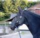 Oldenborg Tessa Birkelund