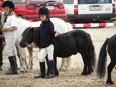 Shetlænder Active - Active og mig til dyreskue august 2005, fra 4 H markedsdage  billede 5