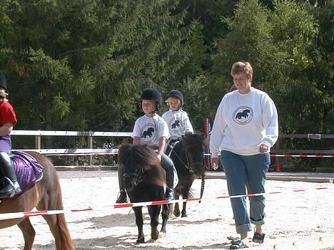 Shetlænder Active - Her er jeg til Bakkehave shetlandsshow billede 6