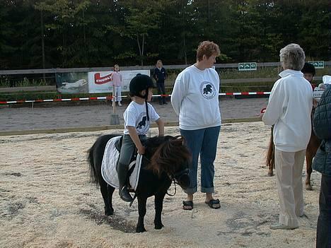 Shetlænder Active - Mere bakkehave shetlandsshow, præmieoverrækkelse billede 7