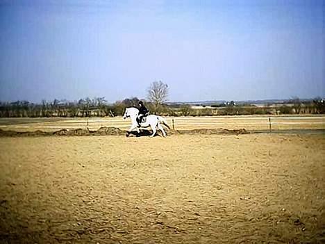 Sportsaraber (A) Tricot R.I.P ;(  - tricot og mig vi er stadigvæk hurtige :) billede 10