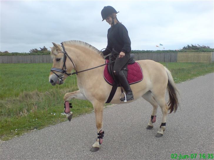 Fjordhest Freja - Freja og Cecilia... Første ridetur :) billede 1