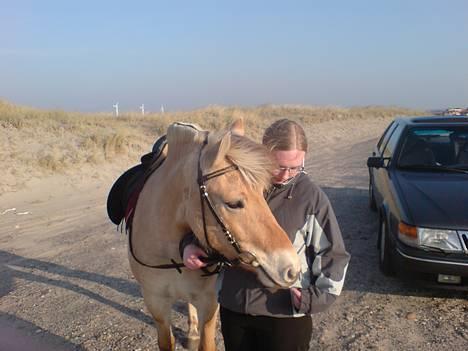 Fjordhest Freja - Freja og jeg billede 8