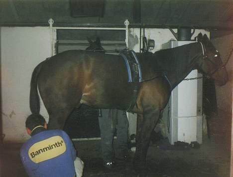 Traver catch the wind (solgt) - ska ud løbe.... må smutte ;o) ses.... billede 9