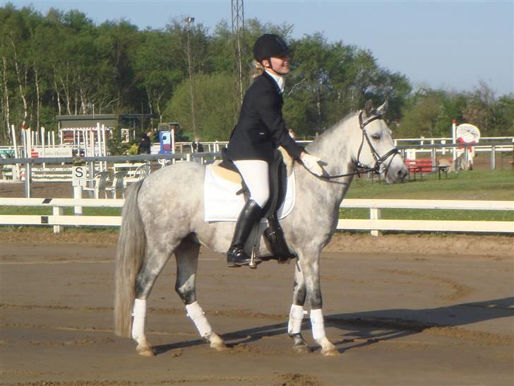 Anden særlig race Stald Speedy's Surprise - Stævne i Jetsmark. billede 4