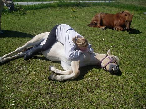 Fjordhest Freja - Freja og jeg.. Freja 1 år billede 9