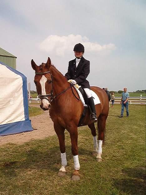 Trakehner Speedy Gonzales - Karoline lånte ham lige til Pinsestævnet 2004 i Jetsmark (hendes pony er nemlig skadet) billede 5
