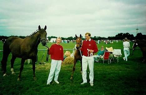 Dansk Varmblod Acondo Harkjær (død) - hér er vi til følskue hvor vi fik en 2 plads billede 10