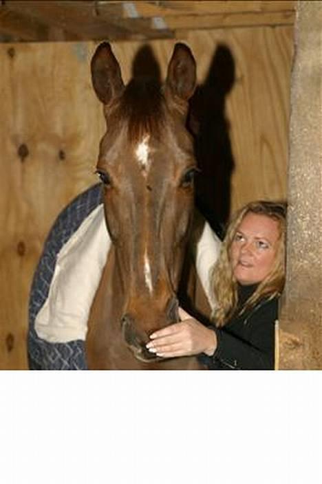 Anden særlig race Quinzy billede 1