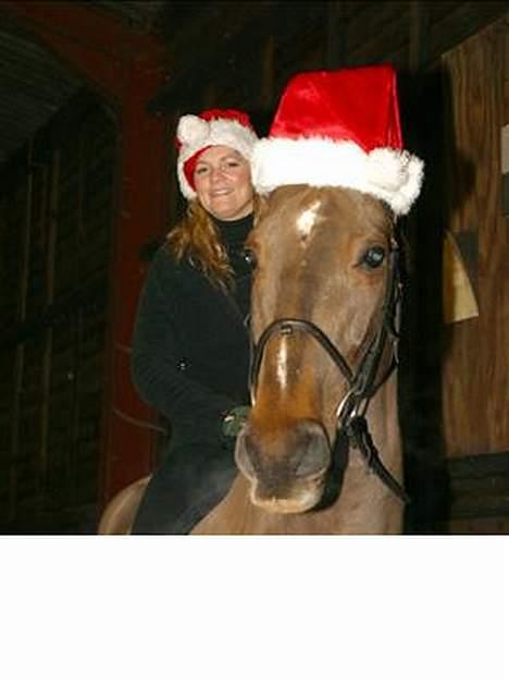 Anden særlig race Quinzy billede 3