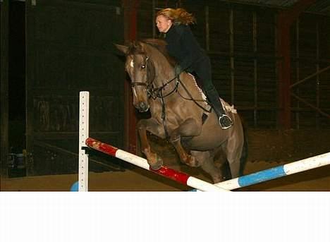 Anden særlig race Quinzy billede 7