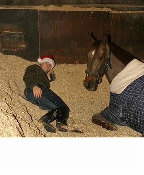 Anden særlig race Quinzy billede 9