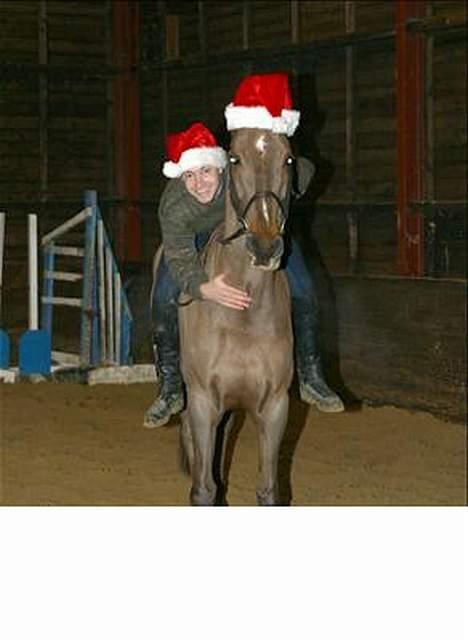 Anden særlig race Quinzy billede 8