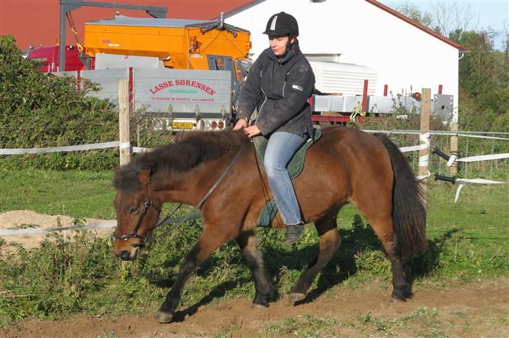 Islænder Assa fra Drostrup - Assa og jeg rider med kapsun. Okt 08 billede 9