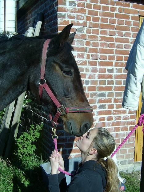 Traver Vixi Wørtel <3 R.I.P :'( billede 3
